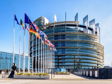 Речь в Европарламенте, основанная на фейках